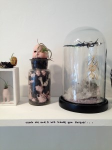 Super creepy Curiosities shop on Bedford Ave.